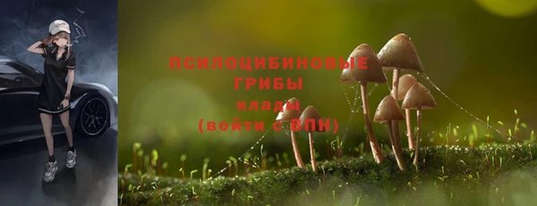 кристаллы Елабуга