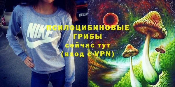 амф Елизово